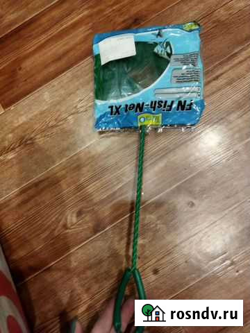 Сачёк, Растения Новокузнецк - изображение 1