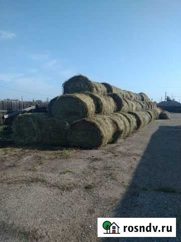 Сено Смоленка - изображение 1