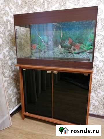 Аквариум Нальчик - изображение 1
