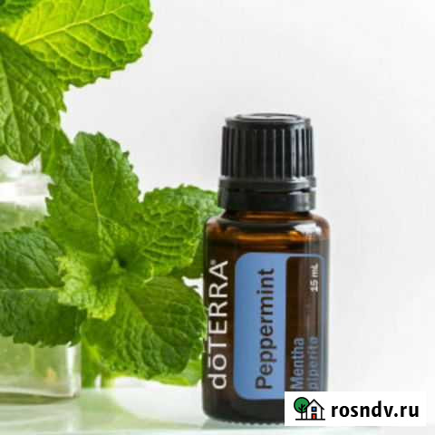 Мята перечнаяMentha piperita 15 мл Севастополь - изображение 1