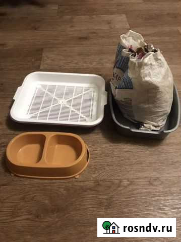 Лоток для кошек,наполнитель и мисочка Дзержинск - изображение 1