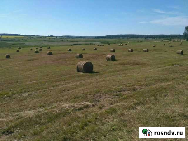Сено Ирбит - изображение 1