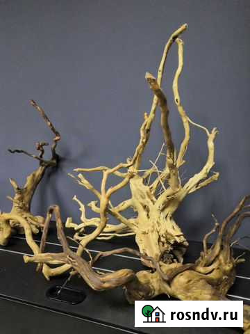 Коряга в аквариум Благовещенск - изображение 1