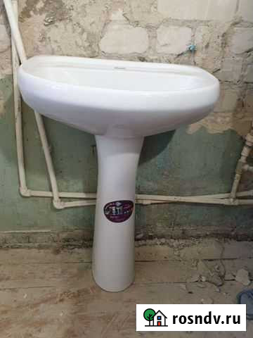 Раковина тюльпан Елец - изображение 1