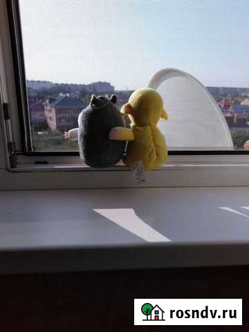 Собутыльник Астрахань - изображение 1