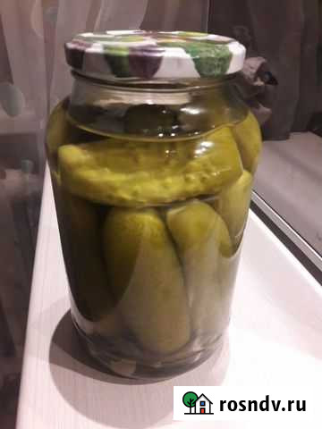 Огурцы солёные, крошево Великий Новгород - изображение 1
