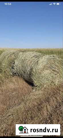 Сено ржаное Черный Яр - изображение 1