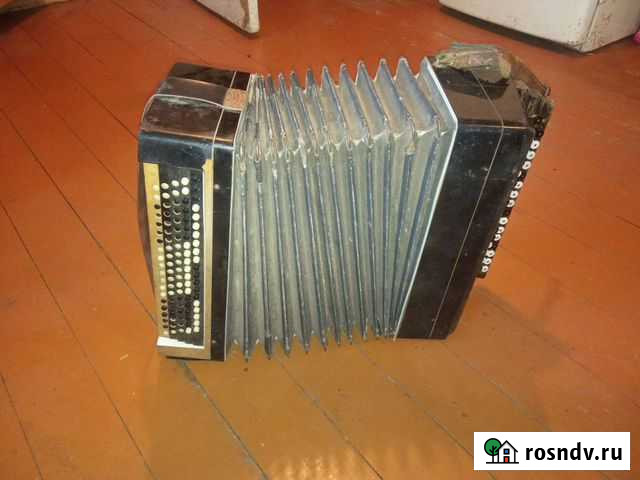 Баян тульский, главмузинструмент Голицыно - изображение 1