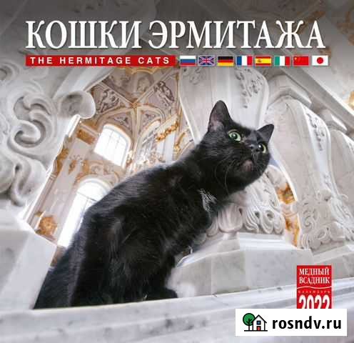 Календарь на 2022 год Кошки Эрмитажа Омск - изображение 1