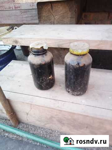 Дёготь Троицк - изображение 1