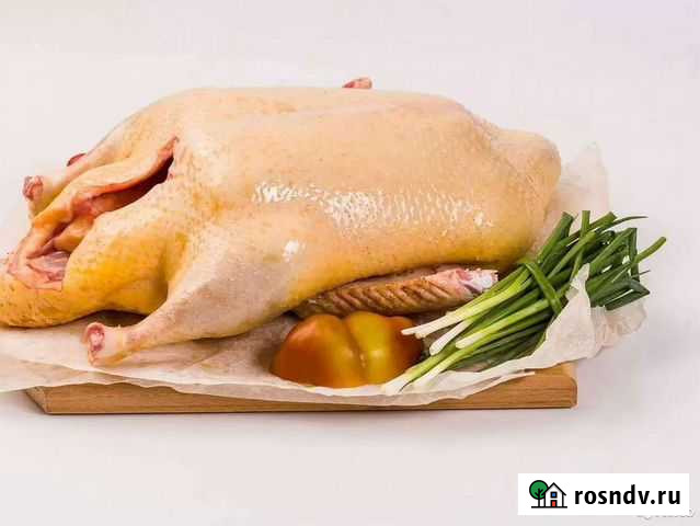 Мясо домашних молодых гусей Хомутово - изображение 1