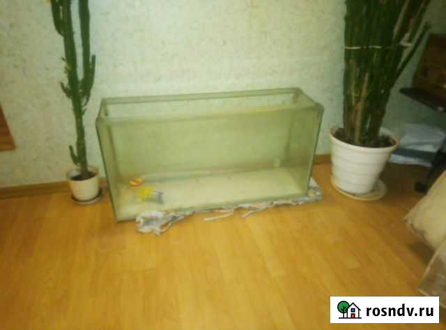 Аквариум Тюмень - изображение 1