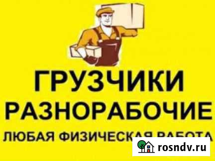 Грузчики и разнорабочие Вологда - изображение 1