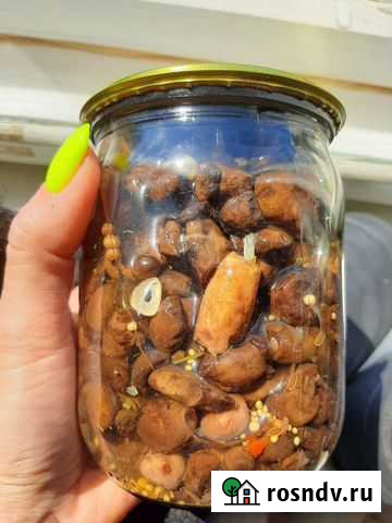Консервированные грибы Саратов - изображение 1