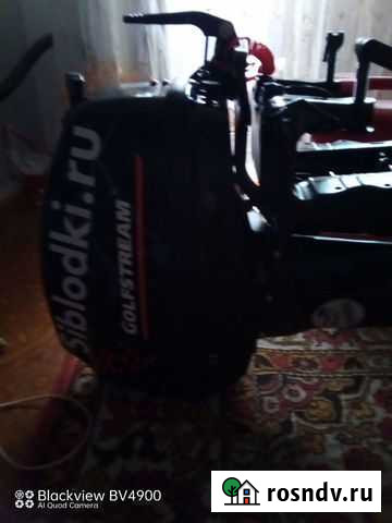 Лодочный мотор Гольфстрим 9.9 Кемерово - изображение 1