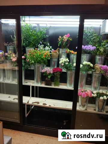 Камера цветочная холодильная Коломна - изображение 1