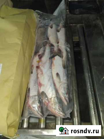 Свежемороженая горбуша Анапа - изображение 1