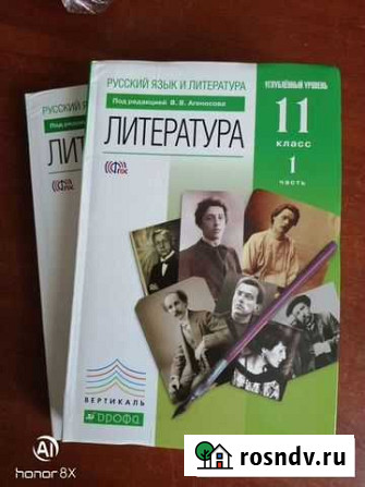 Литература 10-11 класс, углублённый уровень Прокопьевск - изображение 1