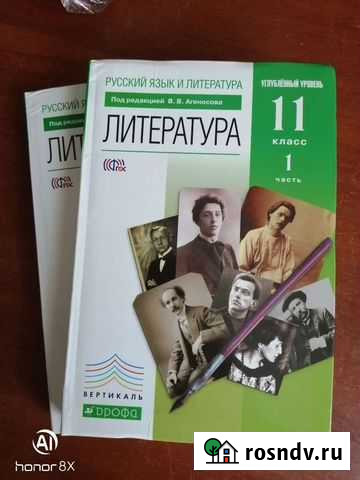 Литература 10-11 класс, углублённый уровень Прокопьевск - изображение 1