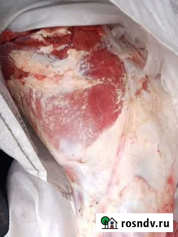 Мясо молодых телят Ижевск - изображение 1