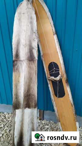 Лыжи камусные Йошкар-Ола - изображение 1