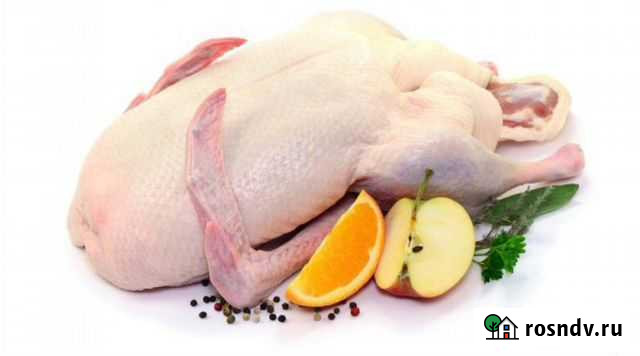 Мясо утки,цыплят, индейки,тушёнка Орехово-Зуево - изображение 1