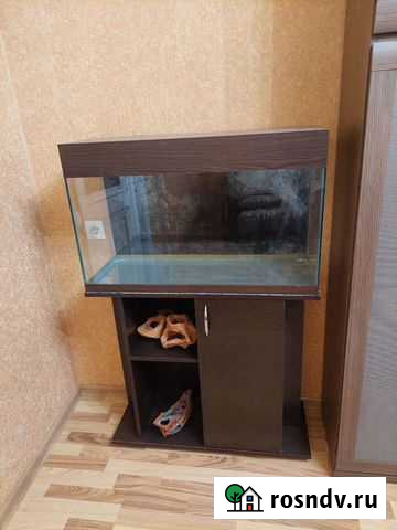 Аквариум с тумбой Астрахань - изображение 1