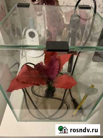 Аквариум 8 литров Одинцово - изображение 1