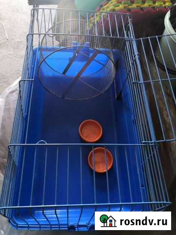 Клетка для грызунов большая Биробиджан - изображение 1