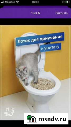 Лоток для приучения кошки к унитазу Череповец - изображение 1