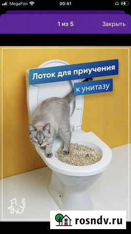 Лоток для приучения кошки к унитазу Череповец - изображение 1