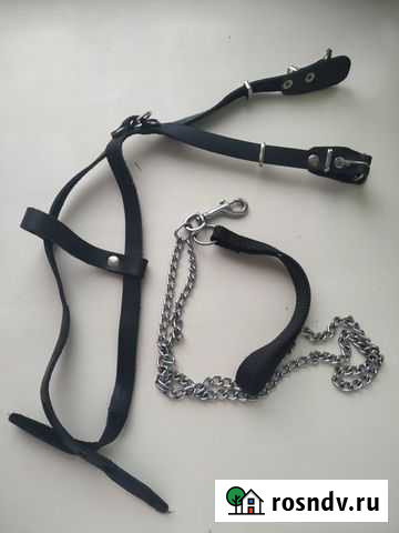 Новая шлейка и поводок Канск - изображение 1