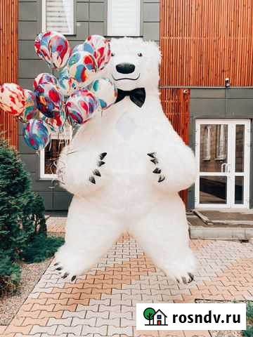 Ростовой медведь аниматор на Ваш праздник Красноярск - изображение 1