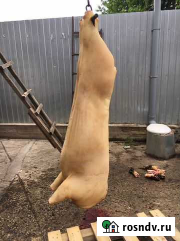 Свинина мясо сало Михайлов - изображение 1