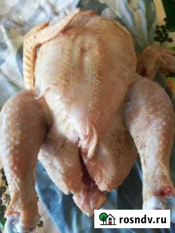 Мясо утки Сызрань - изображение 1