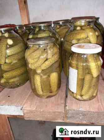 Огурцы соленые (маринованные, соленья) Чехов