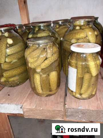 Огурцы соленые (маринованные, соленья) Чехов - изображение 1