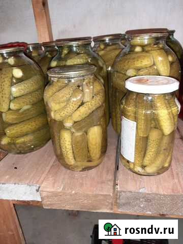 Огурцы соленые (маринованные, соленья) Чехов - изображение 1