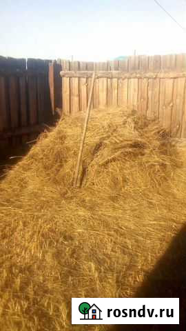 Сено Улан-Удэ - изображение 1