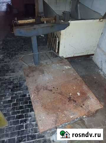 Весы напольные СССР Тольятти - изображение 1