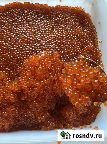 Икра, крабы, креветка Чита - изображение 1