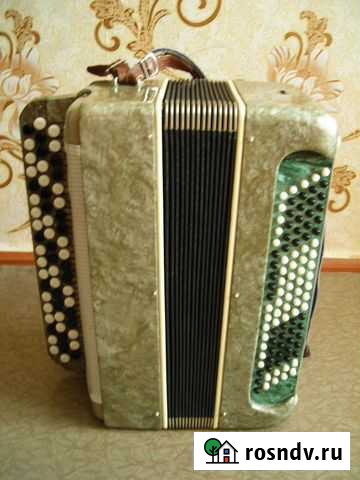 Баян Белгород - изображение 1