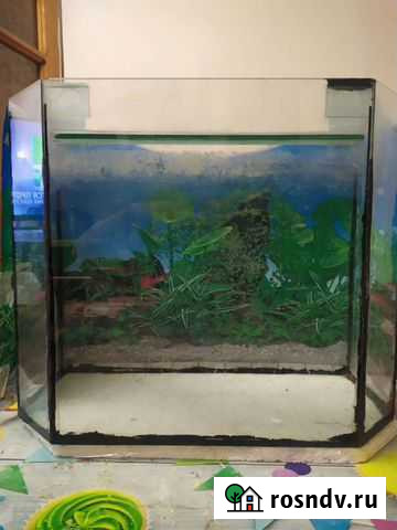 Аквариум 50 + Мысхако - изображение 1