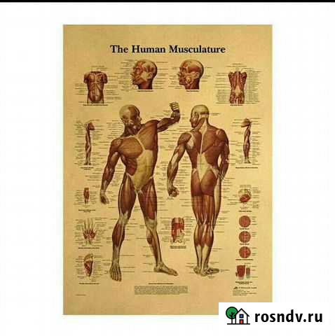 Винтажные плакаты Гатчина - изображение 1