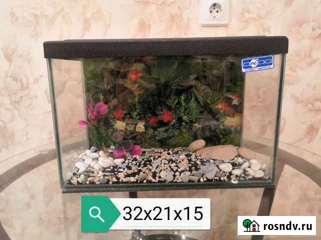 Аквариумы Нижнекамск - изображение 1