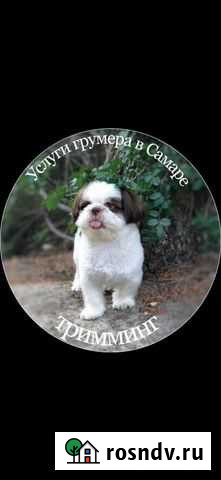 Стрижка собак Услуги грумера Самара - изображение 1