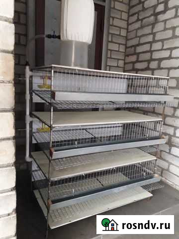 Клетка для перепелов Прохладный - изображение 1