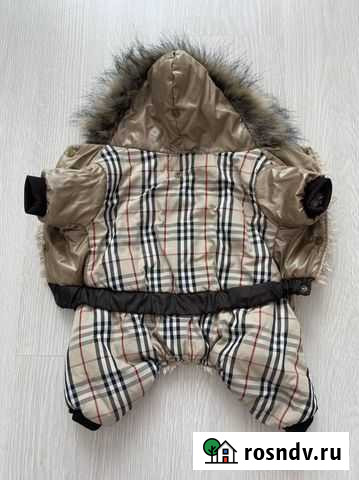 Одежда для собак Люберцы - изображение 1