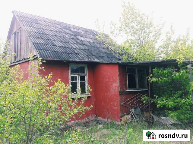 Дача 30 м² на участке 6 сот. на продажу в Новой Усмани Новая Усмань - изображение 1