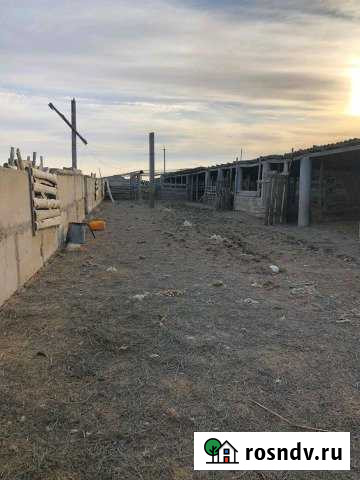 Участок СНТ, ДНП 96000 сот. на продажу в Больших Чапурниках Большие Чапурники - изображение 1